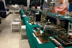 IPMS MORELOS - 2025